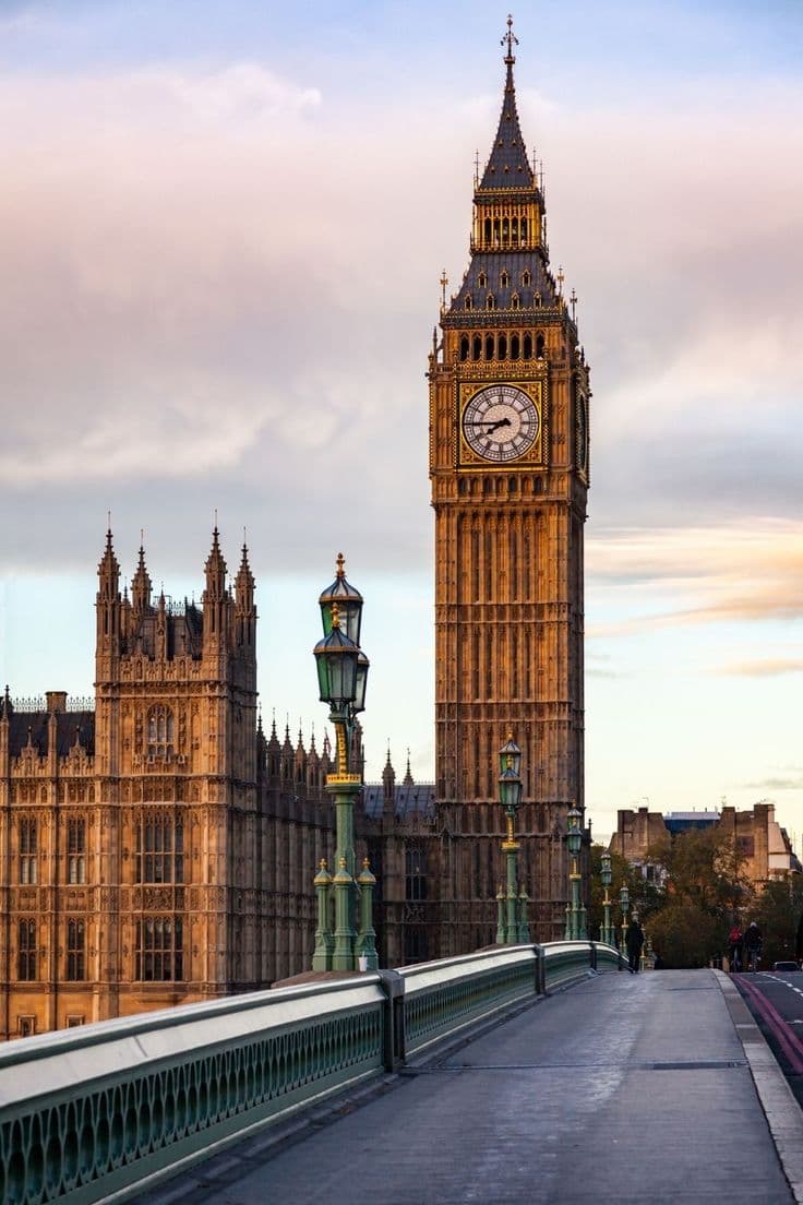 undefined photo 29